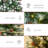Christmas Tree with Realistic Branches, 300 LED Lights-1318003019