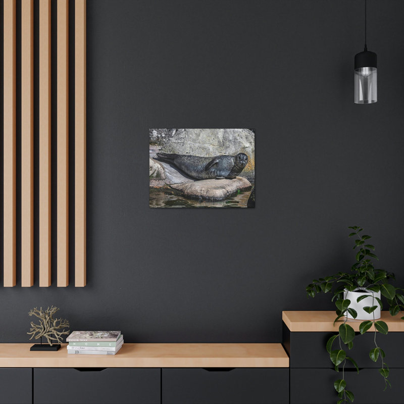 Art mural majestueux avec phoque commun, H 12 po x l 16 po