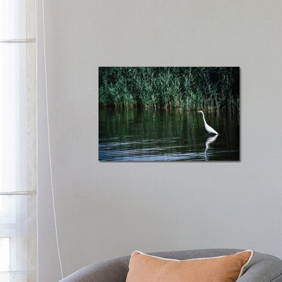 Solitude - Outer Banks, North Carolina by Ann Hudec - Wrapped Canvas Gallery-Wrapped Canvas Giclée