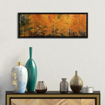 « forest, jackson, jackson hole, teton county, wyoming », reproduction de photo sur toile