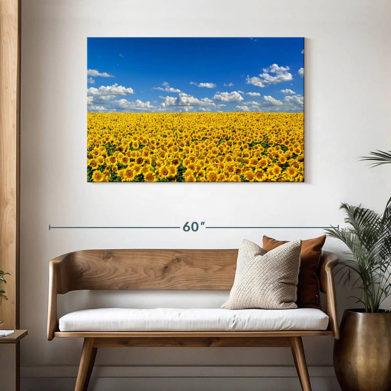 Grand champ de tournesols Alvord, H 30 po x l 45 po