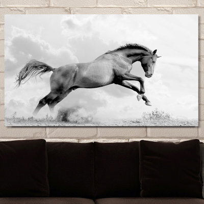 «Flying Horse», reproduction de photo sur toile