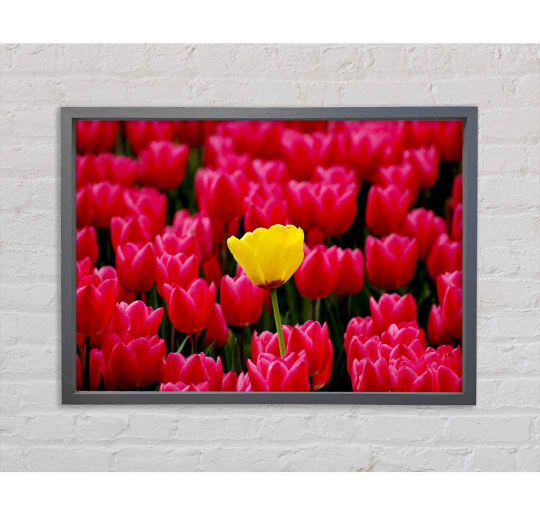 Tulpen Strenth Gerahmter Druck