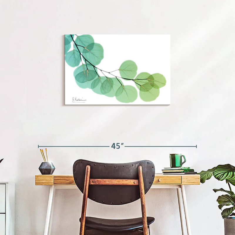 Harnek Golden Eucalyptus, 20" H x 30" W