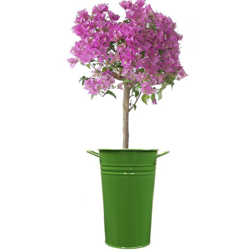 Marland Handmade Metal Table Vase, Sage