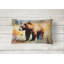Grizzly Bear Throw Pillow