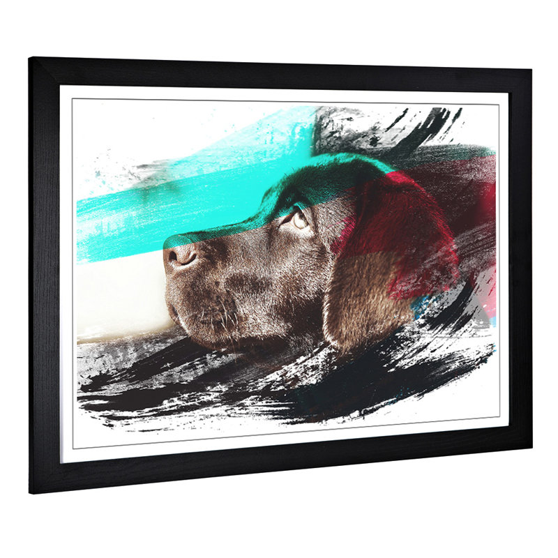 Chocolate Labrador Dog - Framed Print