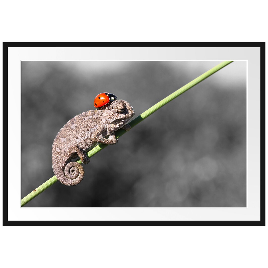 Gerahmtes Poster Süßer Gecko mit einem Marienkäfer