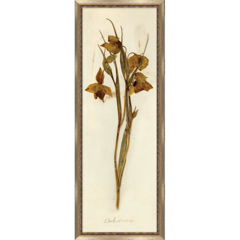 Napa Valley 1872 Herbarium IX-impression de cadre photo sur papier