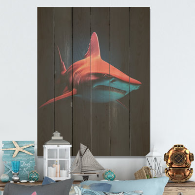 Photo d'un requin rouge