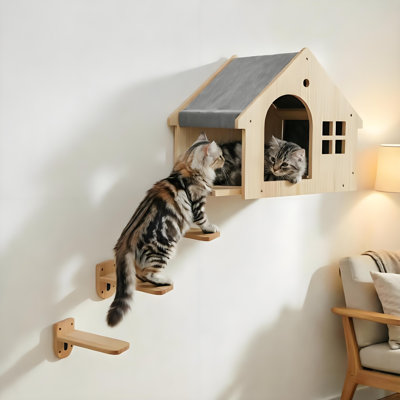 Cat Wall Climbing Steps with House