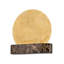Rune 1 Light Wall Sconce