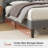 Neavins Bed Frame with Storage Headboard & LED Light, Upholstered Bed Frame with Charging Station-429366112
