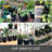 VEVOR Growing Kit-100614000