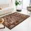 Tapis toscan en cuir brun avec une bordure élégante-1662502886