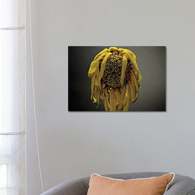 Studio Flowers VII 1 Piece Wrapped Canvas Wall Art