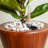 Dein 2-Pack 10 in. Plastic Self-watering Planter Pot-242219153