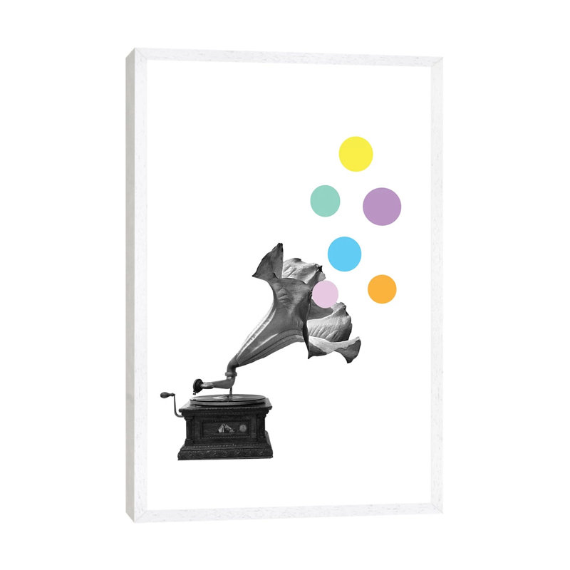 Gramoflower by Kiki C Landon - Print on Canvas, White Framed, 101.6cm H x 66.04cm W x 3.81cm D