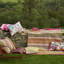 CHINOISERIE FLOWER PEONY OUTDOOR DECORATIVE PILLOW