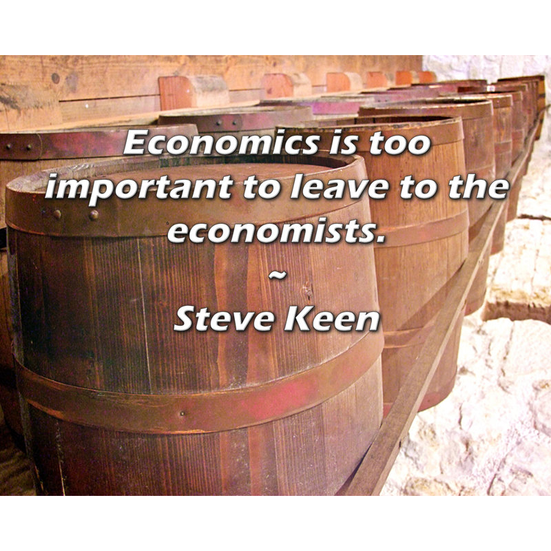 Toile tendue avec toile Trinx par Steve Keen: «L'économie est trop importante pour être laissée à l'econo