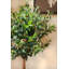 Olive artificielle 43,5 po en pot