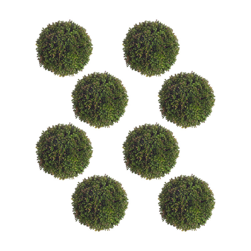 Malchow Sedum Orbs