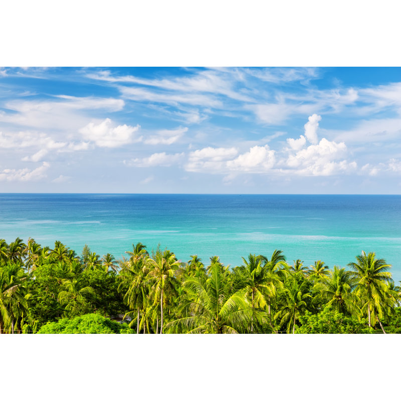 Coconut Palm Trees by Preto_perola - Wrapped Canvas Print, 30cm H x 46cm W