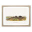 Star-Nose Moles by J.W. Audubon - Framed Print-55615977-55615978