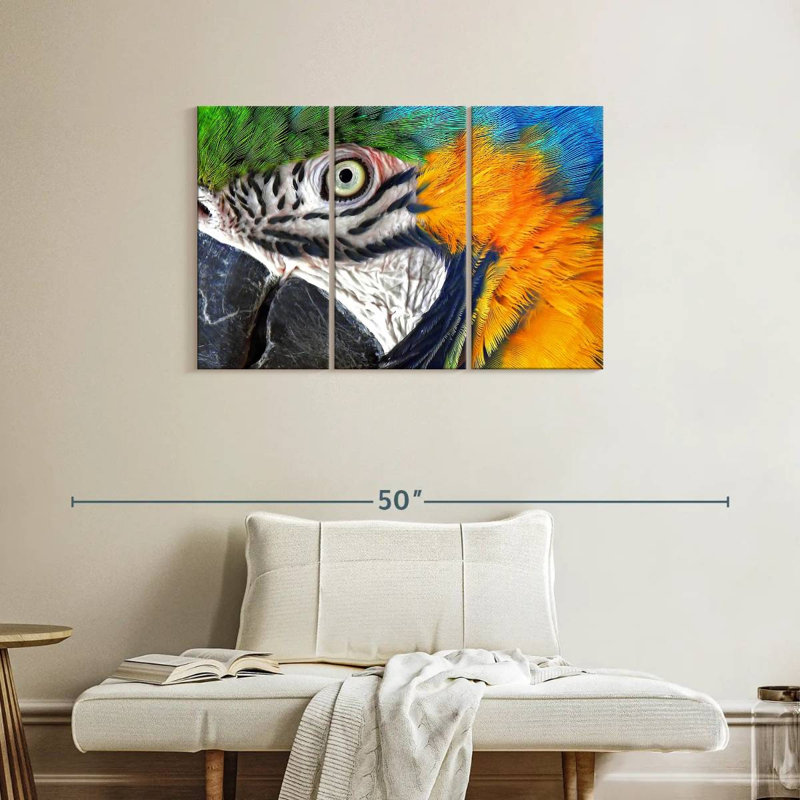 Brampt Macaw Eye, 24" H x 38" W
