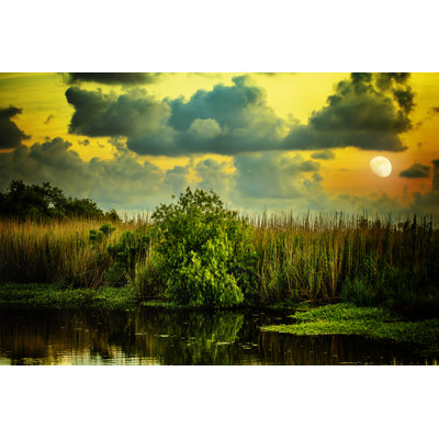 Goodnight, Louisiana - Photographie sur toile tendue