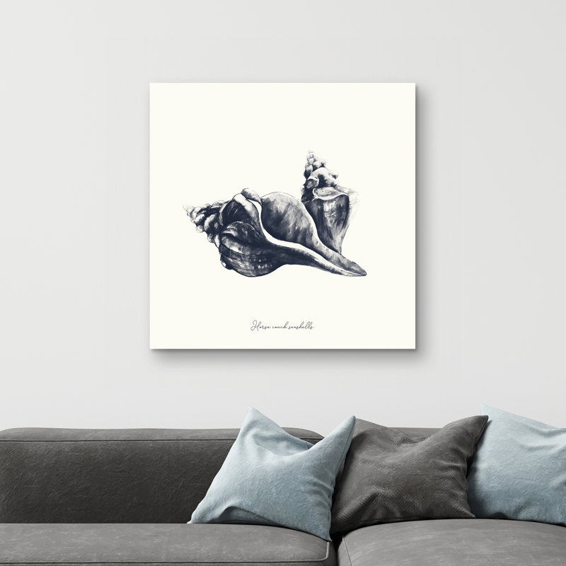horse conch seashells - 32"x32" art on canvas