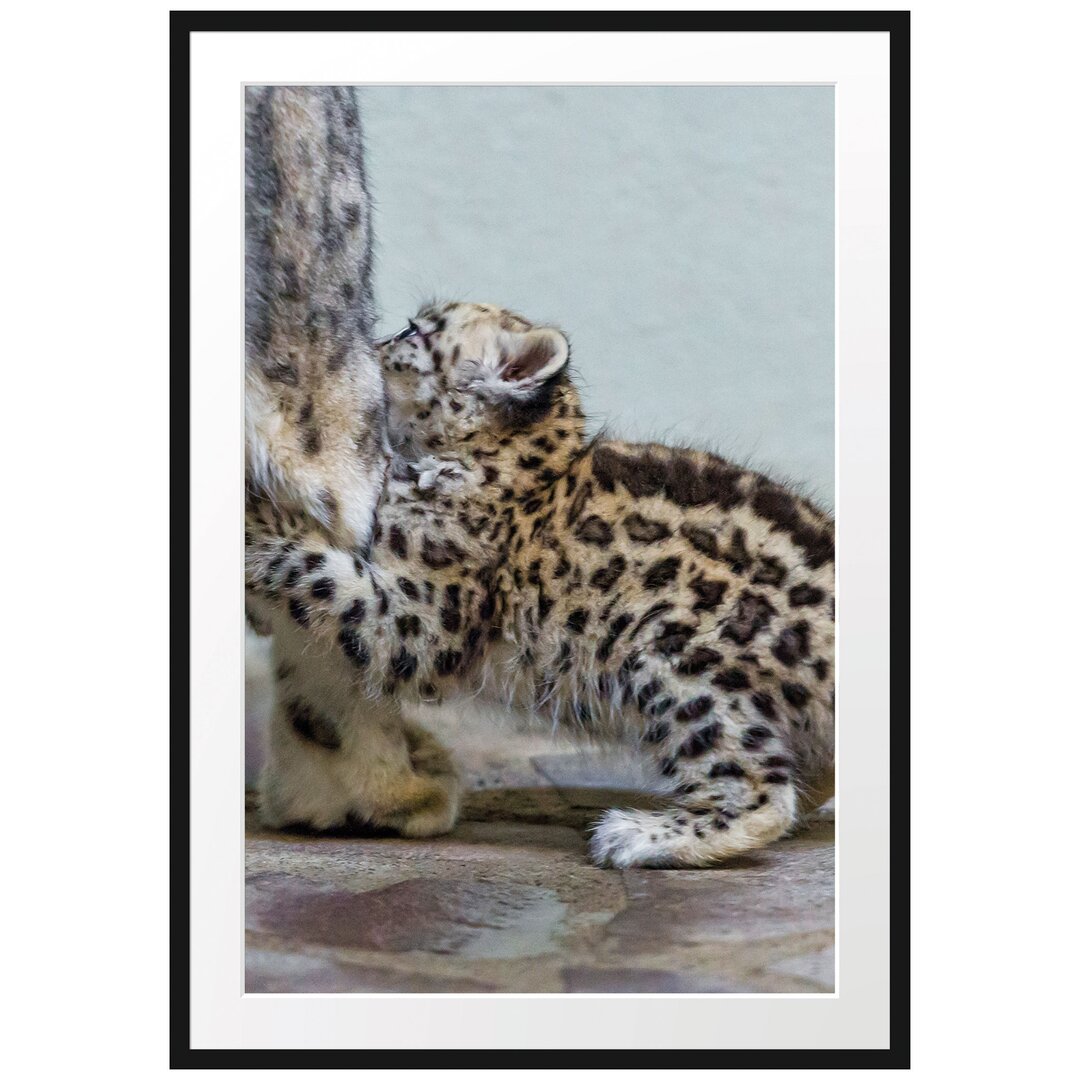 Gerahmtes Poster Kleiner Leopard beim Spielen