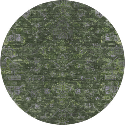 Premium Machine Washable Mayfield AMF2322 Global Rug