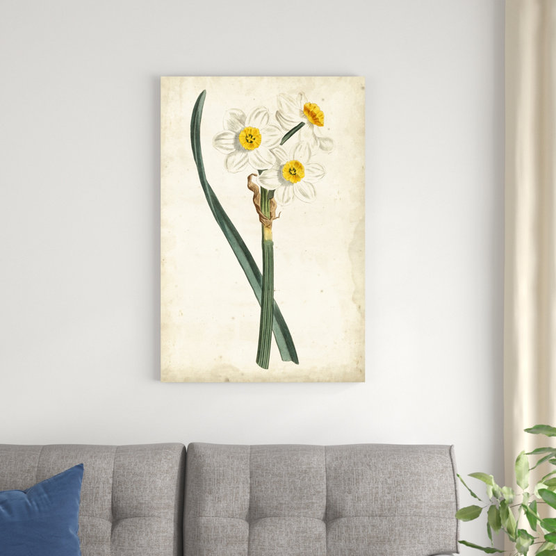 Curtis Narcissus III, H 36 po x l 24 po x P 1,25 po
