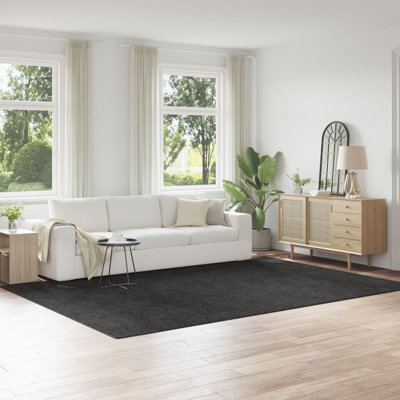 Area Rug