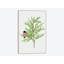 « urtica cannabina ii », impression sur toile-30524845-72568996-72568991