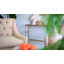 Buste en porcelaine Trefann-770529834
