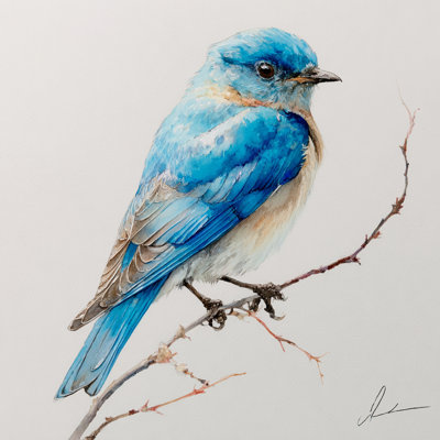 Bluebird on Bare Branch Wrapped Canvas Wall Art