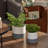 Ceramic Pot Planter
