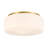 Edgemont 4-Light Ceiling Light in Brass-1005118396