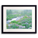 Alpine Meadow And Creek Print by Bruce Heinemann