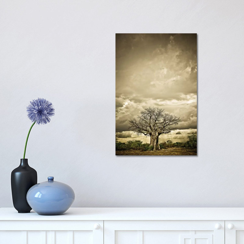 Baobab Hierarchy IV 1 Piece Wall Art on Canvas, 30.48 cm H x 45.72 cm W, Wrapped Canvas