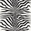 Zebra Animal Print 100% Linen Fabric