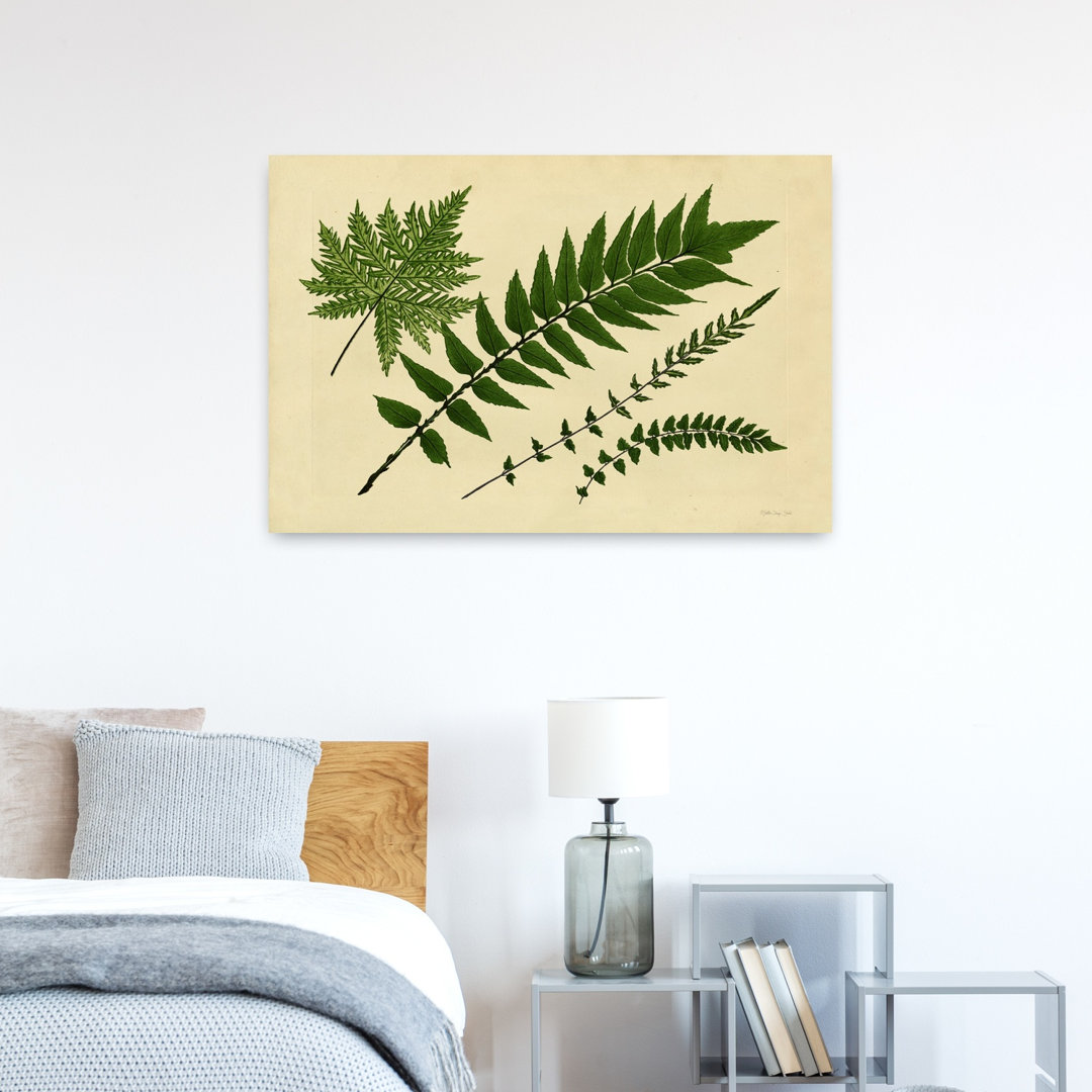 Antique Ferns 2 Abstract Contemporary Fern Landscape Nature Wall Art Print