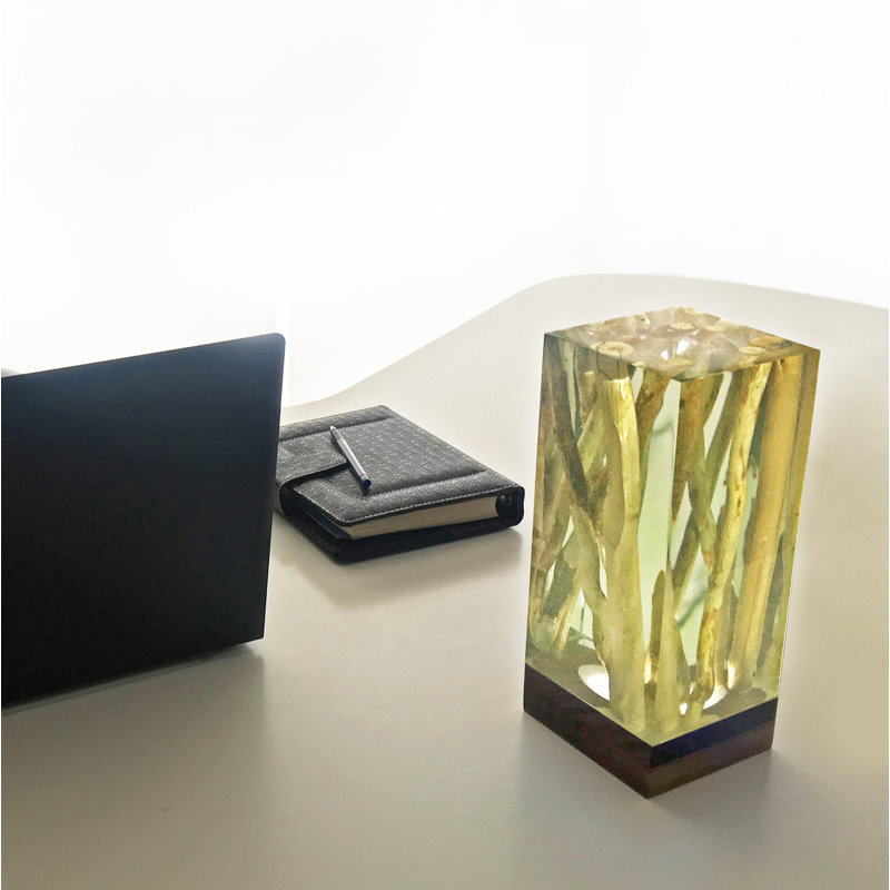 Novelty Lamp