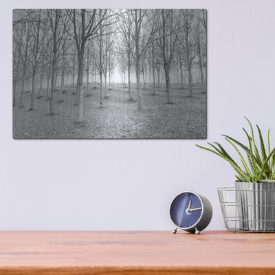 «Nature Reorganized» par IMB