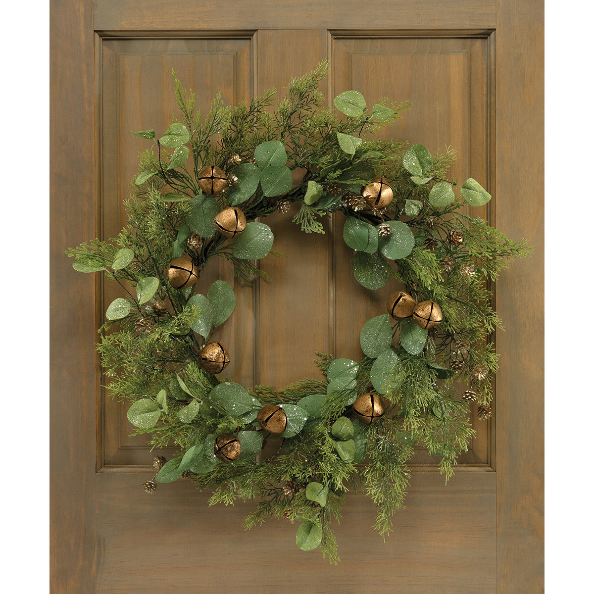 Northlight Magnolia and Frosted Pine Cones Artificial Christmas Wreath -  22-Inch, Unlit