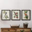 Pl 168 "Moucherolle à queue fourchue", ensemble de 3 peintures sur toile encadrées-1931904636-1931904638