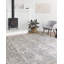 Tapis oriental gris Cudahy-1259314042