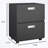 Mian 19.68'' Wide Storage Cabinet